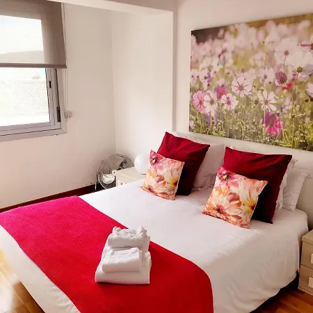 Amplio Piso Proximo A La Catedral Y El Camino. C2 *