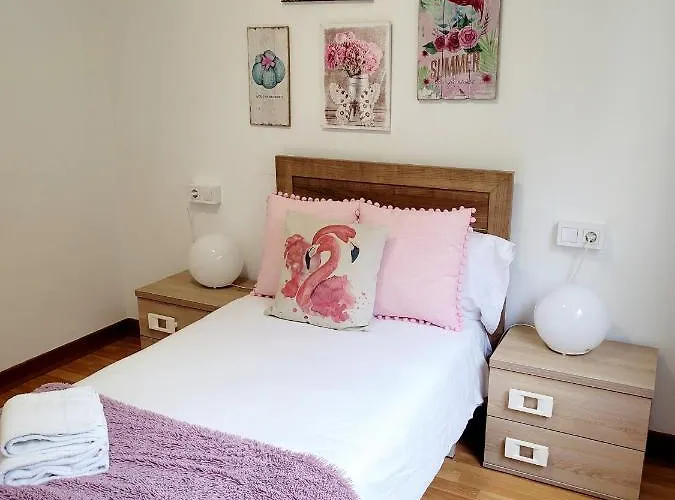 Amplio Piso Proximo A La Catedral Y El Camino. C2 * Santiago de Compostella